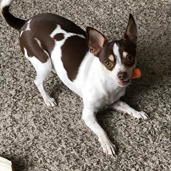 lildeb2255